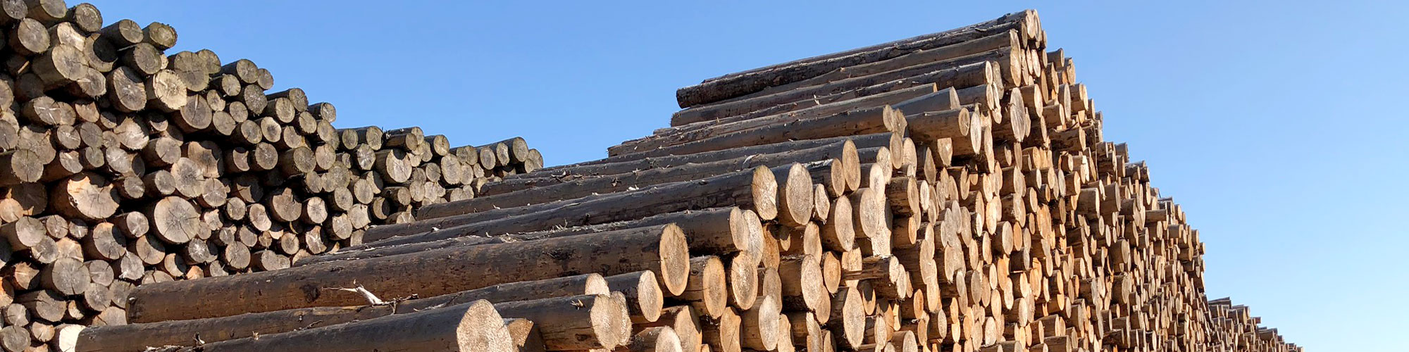 Holz und Innenausbau – ISOLITH Dämmplatten Dämmelement